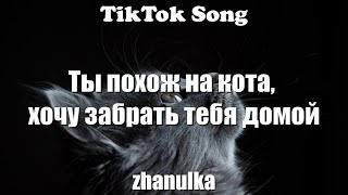 Ты похож на кота - zhanulka (Ты похож на кота, хочу забрать тебя домой)  (Текст) - TikTok Remix