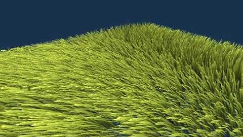 Real-Time Grass Animation (Part 1)