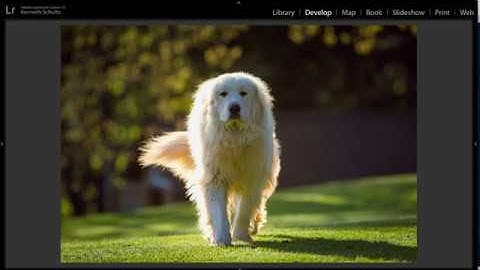 LUMINAR FLEX - Quick Look and Why I think it