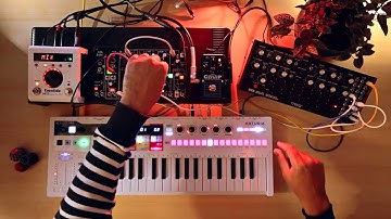 081▶️ Duo Mono 👥 (Make Noise 0-Coast + H9 // Moog DFAM + Multicomp // Arturia Keystep Pro)