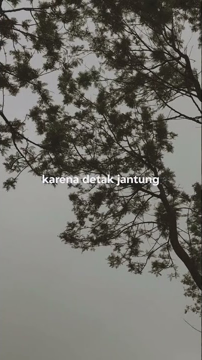 when daun jatuh said-resah jadi luka