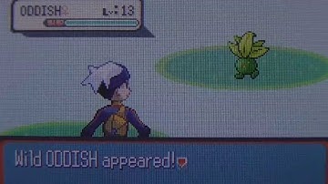 Live Shiny 10% Oddish and PKRS on Sapphire after 6,099 REs (Phase 1)