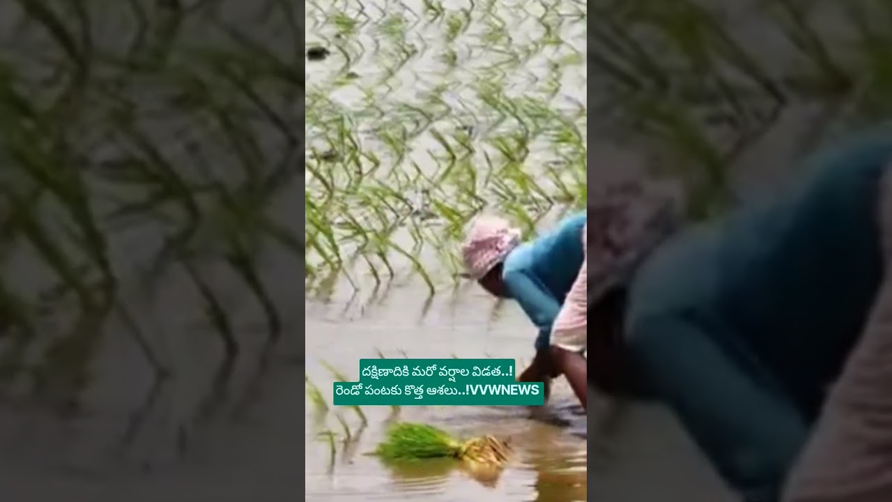 దక్షిణాదికి మరో వర్షాల విడత..!రెండో పంటకు కొత్త ఆశలు#VVWNEWS