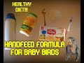 PREPARING MEAL FOR YOUR HANDFEED BIRD (3 INGREDIENTS ONLY | ALTERNATIVE OF SAKTO FORMULA)