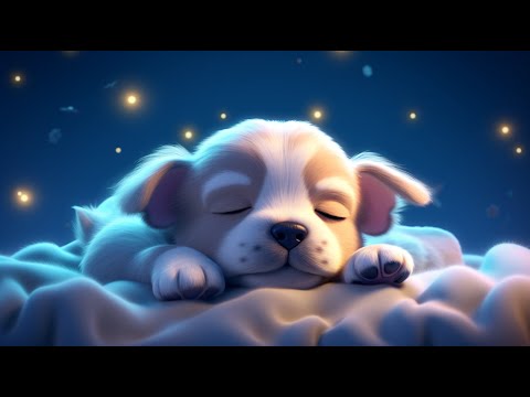 Peaceful Sleep In 3 Minutes, Fall Asleep Fast - Sleep Music for Deep Sleep - No More Insomnia