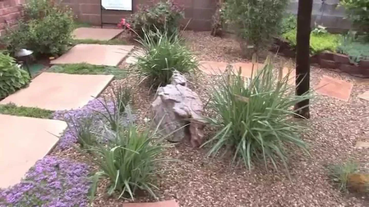 Albuquerque Garden Tour with Landscape Designer Mi...