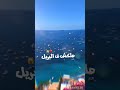عصفوره بتنقل الكلام دي مش رجوله ملكش في البريل خودي كولا حالات واتس اب
