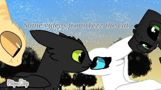 some videos from Tezz the cat (read the desc)