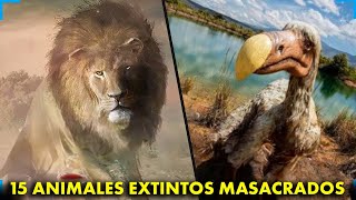 20 Animales Extintos Masacrados Por El Hombre
