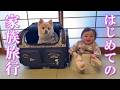 娘が生まれて初めての家族旅行は、愛犬と一緒に泊まれる温泉旅館に行ってきました!【鬼怒川温泉 絆】