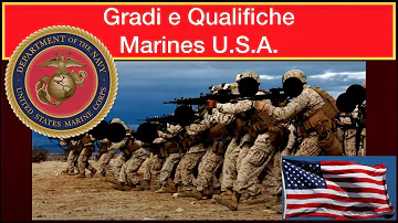 Quanti Marines ci sono?