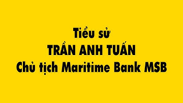 Tiểu sử Trần Anh Tuấn Chủ tịch Maritime Bank MSB