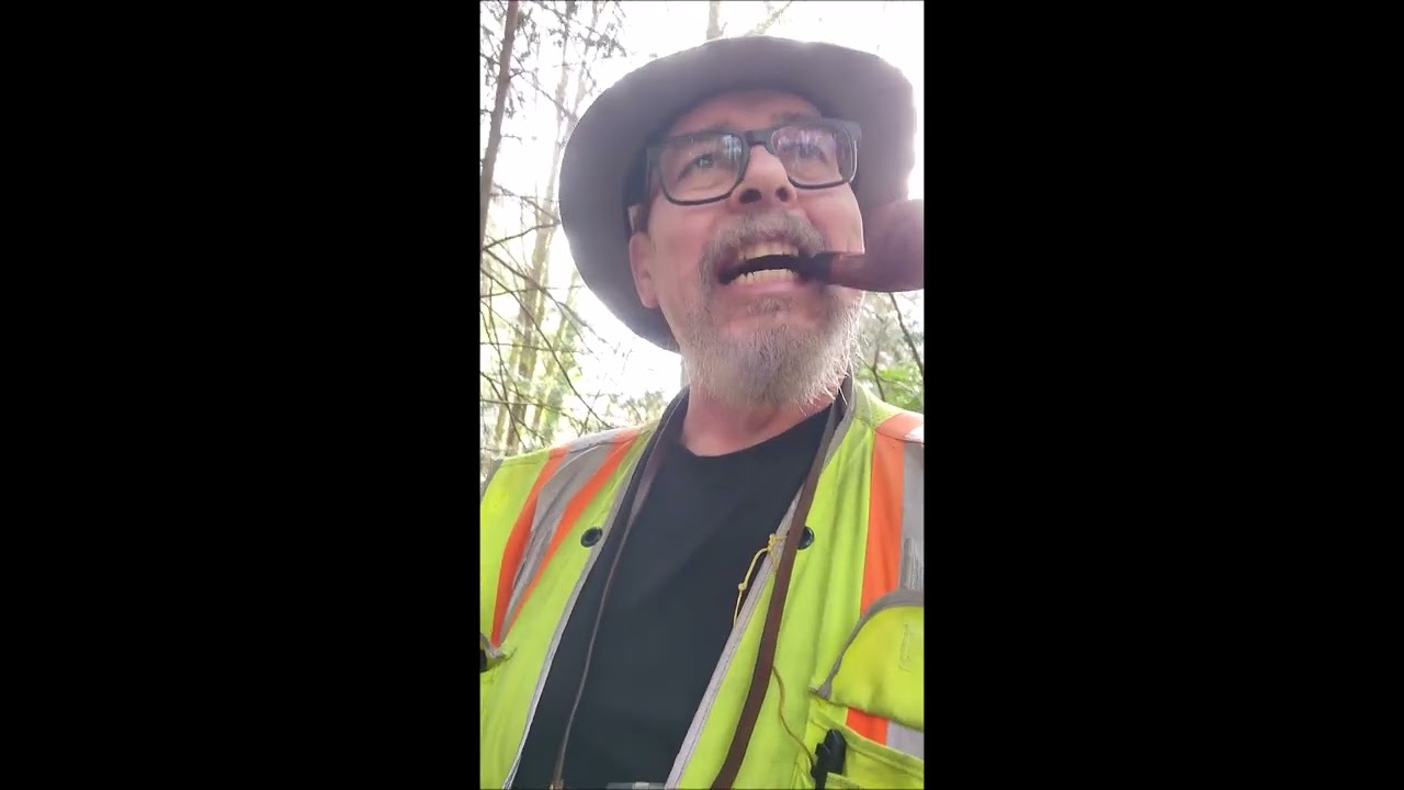 Working in the springtime woods