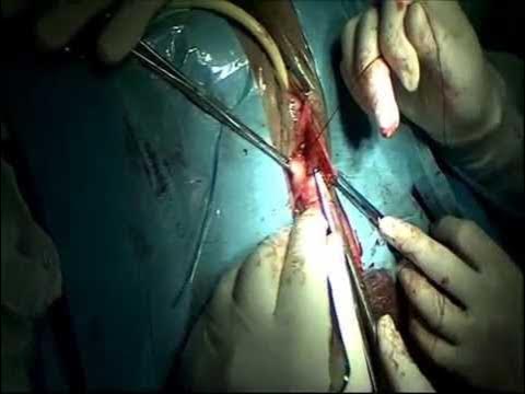 Dush uchun eng yaxshi porno videolar