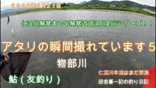 物部川  ２０２２年鮎開幕シリーズ/ 田舎暮一記の釣り日記