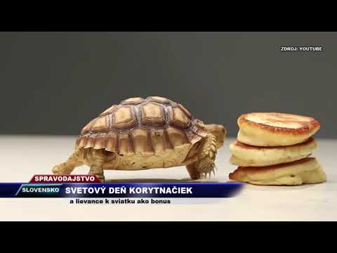 Video: Udržujte psy mimo nábytku s hliníkovou fóliou