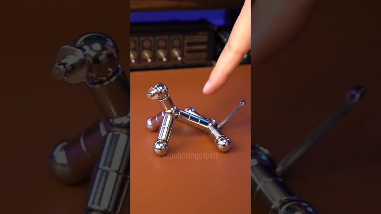 Picture of What to do if your dog is afraid of grooming? How to reduce stress?