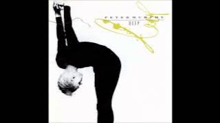 Peter Murphy - Cuts You Up