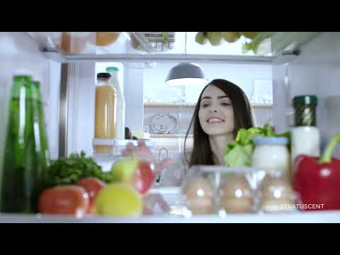 Unlocking the potential of scent detection - video from Noze