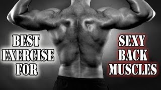 Best Lower Back Exercise For Spinal Erectors