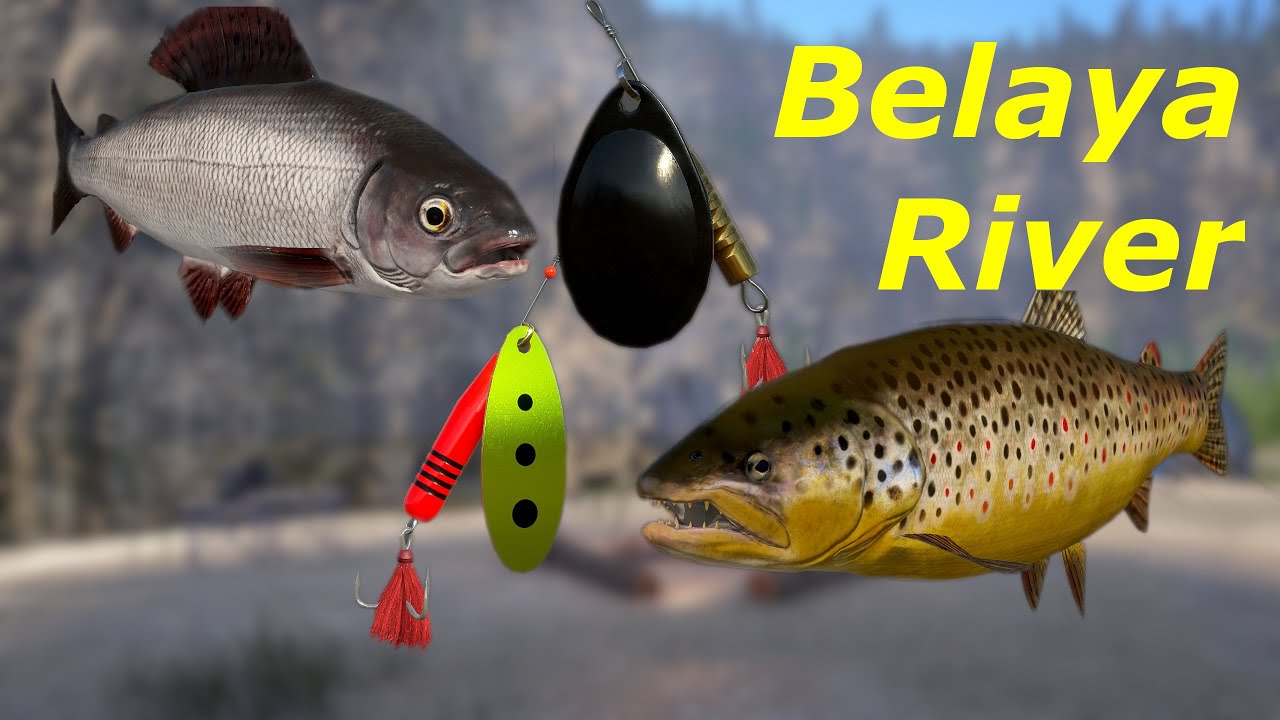 Belaya River Grayling / Lipienie brown trout Pstrąg 41 Russian