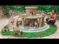 Rescue dogs and build hut for puppies  build dog house