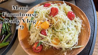 Maui Farmhouse Vlog #9 Cooking Our Favorite Thai Foods at Home & My Mom's First Visiting Ma