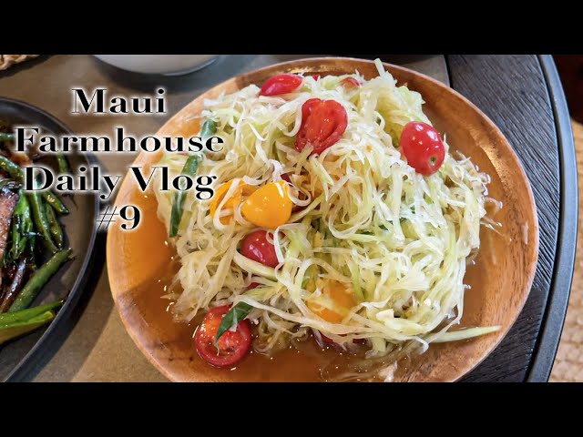 Maui Farmhouse Vlog #9 Cooking Our Favorite Thai Foods at Home & My Mom