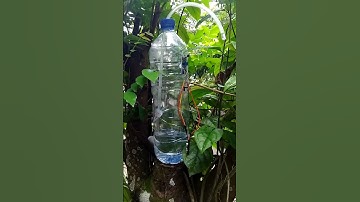 Tugas IPAS " Dispenser Hand Sanitizer Otomatis Tanpa Arduino" #smkn1trenggalek