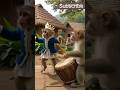 #cute #funny #monkey #comedy #cutebaby #viralvideo #happyvibes #zoolife #cuteanimals #viralmoments