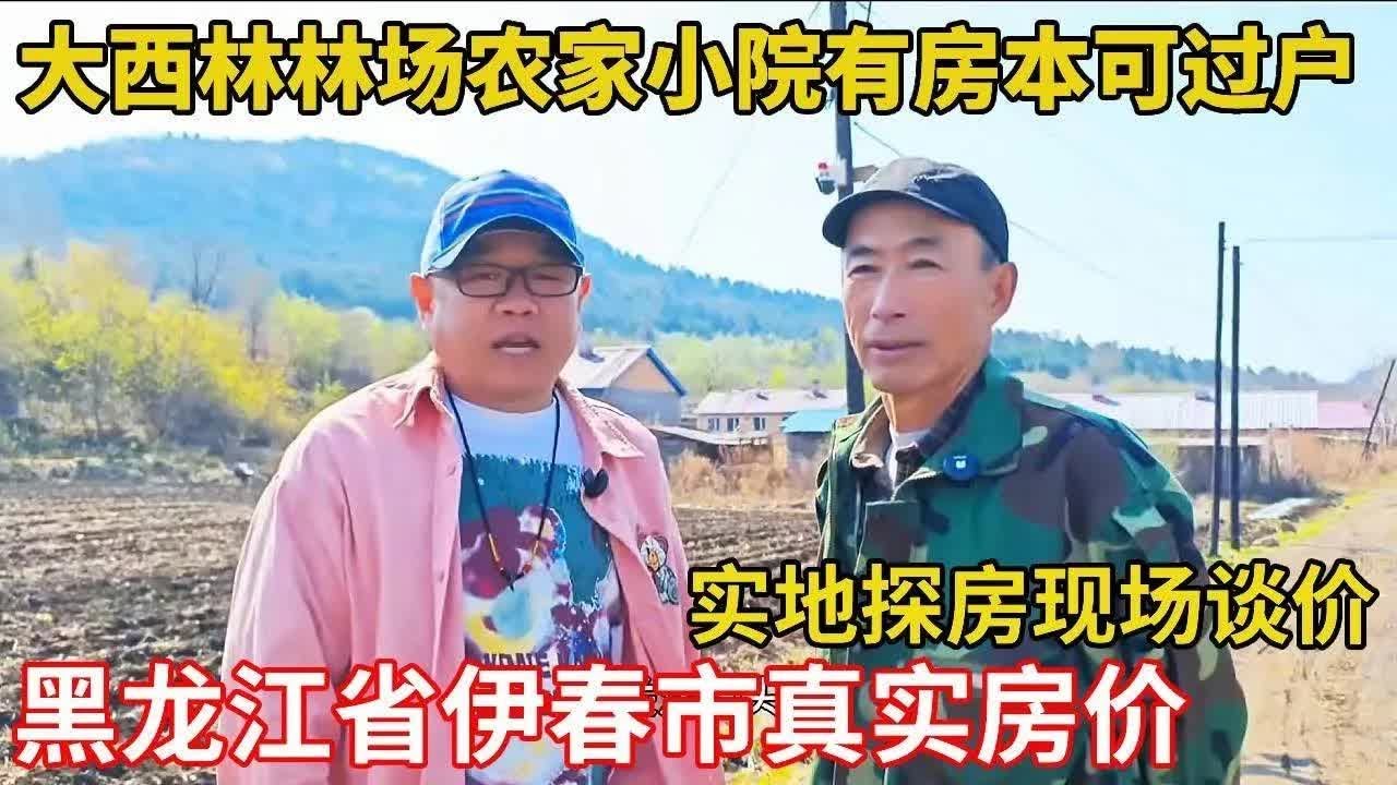 黑龙江省伊春市大西林林场,农家小院有房本可过户,菜园子4亩地！【鬼头看房】 #房价 #农家小院