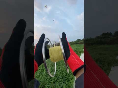 Thả Diều sáo ra dây diều quá phê..#viral #xuhuong #youtubeshorts #diều #youtube #vietnam #kite