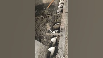 Auger Feed System for Poultry