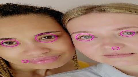 Object Detection in Images and Videos using Haar Cascades and OpenCV
