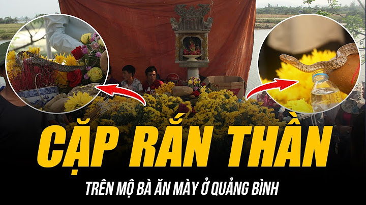 “CẶP RẮN THẦN” TRÊN MỘ “BÀ ĂN MÀY” Ở QUẢNG BÌNH | HÀNG NGHÌN NGƯỜI CÚNG TIẾN VÀ SỰ THẬT ĐẰNG SAU