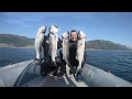 Spearfishing with my friends Galicia 2