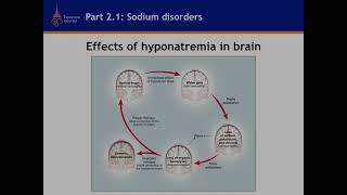 Fluid & Electrolyte Disturbance โดยนายแพทย์สุรเมธ อิสรานุวัฒน์ชัย