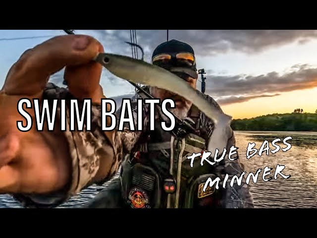 Fishing for BASS with Swimbaits 