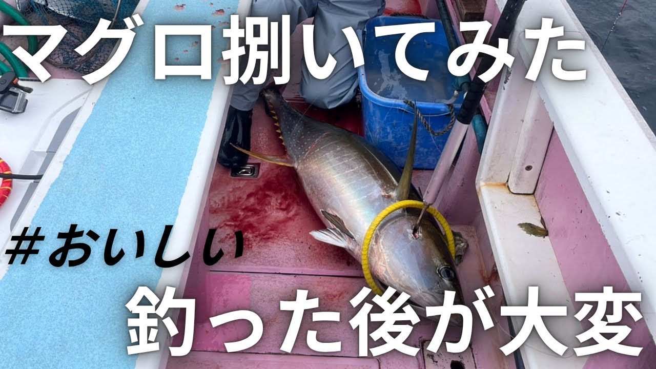 【30kg】キハダマグロ捌いてみた