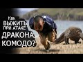 КАК ВЫЖИТЬ При Нападении КОМОДСКОГО