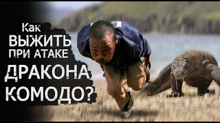 видео: КАК ВЫЖИТЬ При Нападении КОМОДСКОГО ВАРАНА? картинка: КАК ВЫЖИТЬ При Нападении КОМОДСКОГО ВАРАНА?