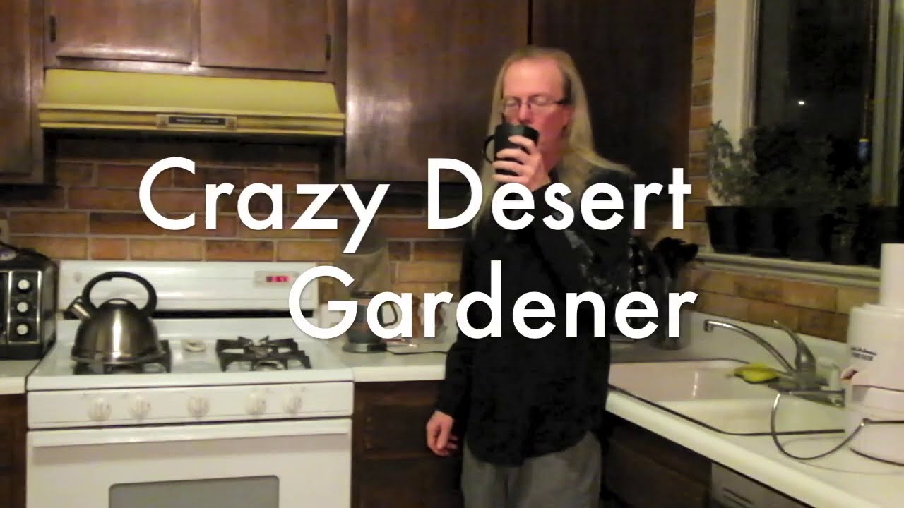 Planting Pepper Seeds. How to improve your germination rate by presoaking pepper seeds. (January)