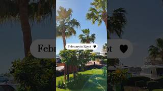 February in Egypt ☀️ Sunny Days screenshot 2