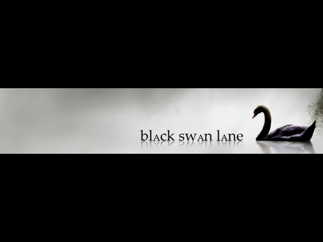 Watch Black Swan Lane - Two Oceans on YouTube Watch Black Swan Lane - Two Oceans on YouTube
