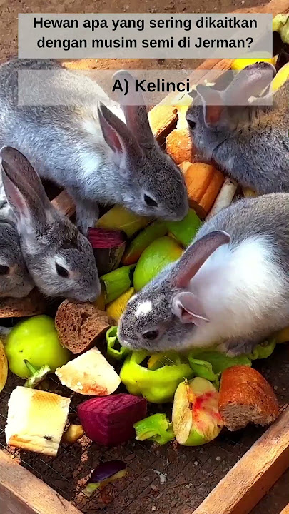 Hewan Apa yang Jadi Simbol Musim Semi di Jerman? 🐰🌿