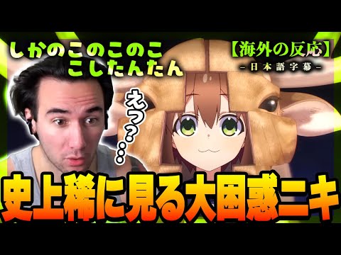 【しかのこのこのここしたんたん】シカ色デイズを前に史上最も言葉を失ってしまうニコラス兄貴の反応! ニコラスニキのリアクション【海外の反応】