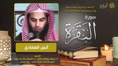 سورة البقرة ♦ القارئ أنس العمادي جودة عالية !!