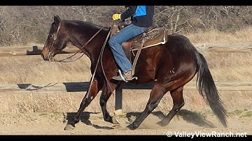 Hickory Peek***For info, price, etc., go to our website*** ValleyViewRanch.net