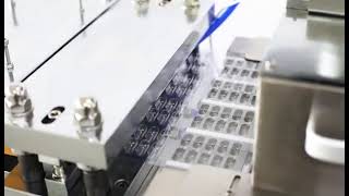 DPP260 automatic Blister packaging machine for capsule table liquid 