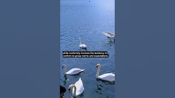The Psychology of Group Dynamics and Conformity
